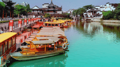 Top 3 Fantastic Travel Attractions in Nanjing