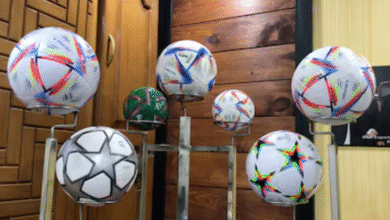 Sports Ball Supplier