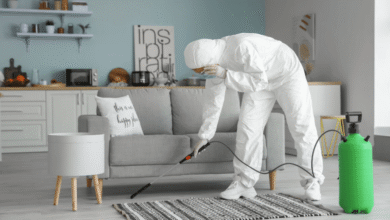 Understanding Home Disinfection Services