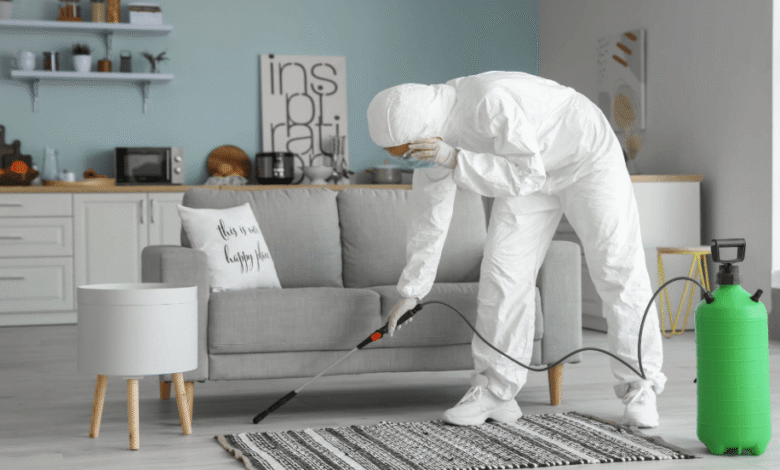 Understanding Home Disinfection Services