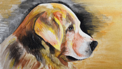 Transforming Memories into Beautiful Pet Portraits