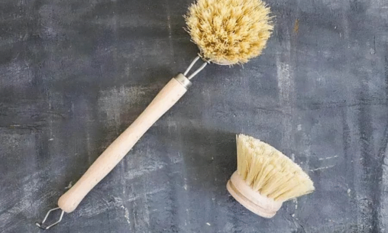 Eco-Friendly Kitchen Brushes for a Greener Home
